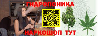 PSILOCYBIN Мариинск