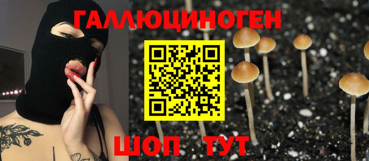 Галлюциногенные грибы мицелий Чехов